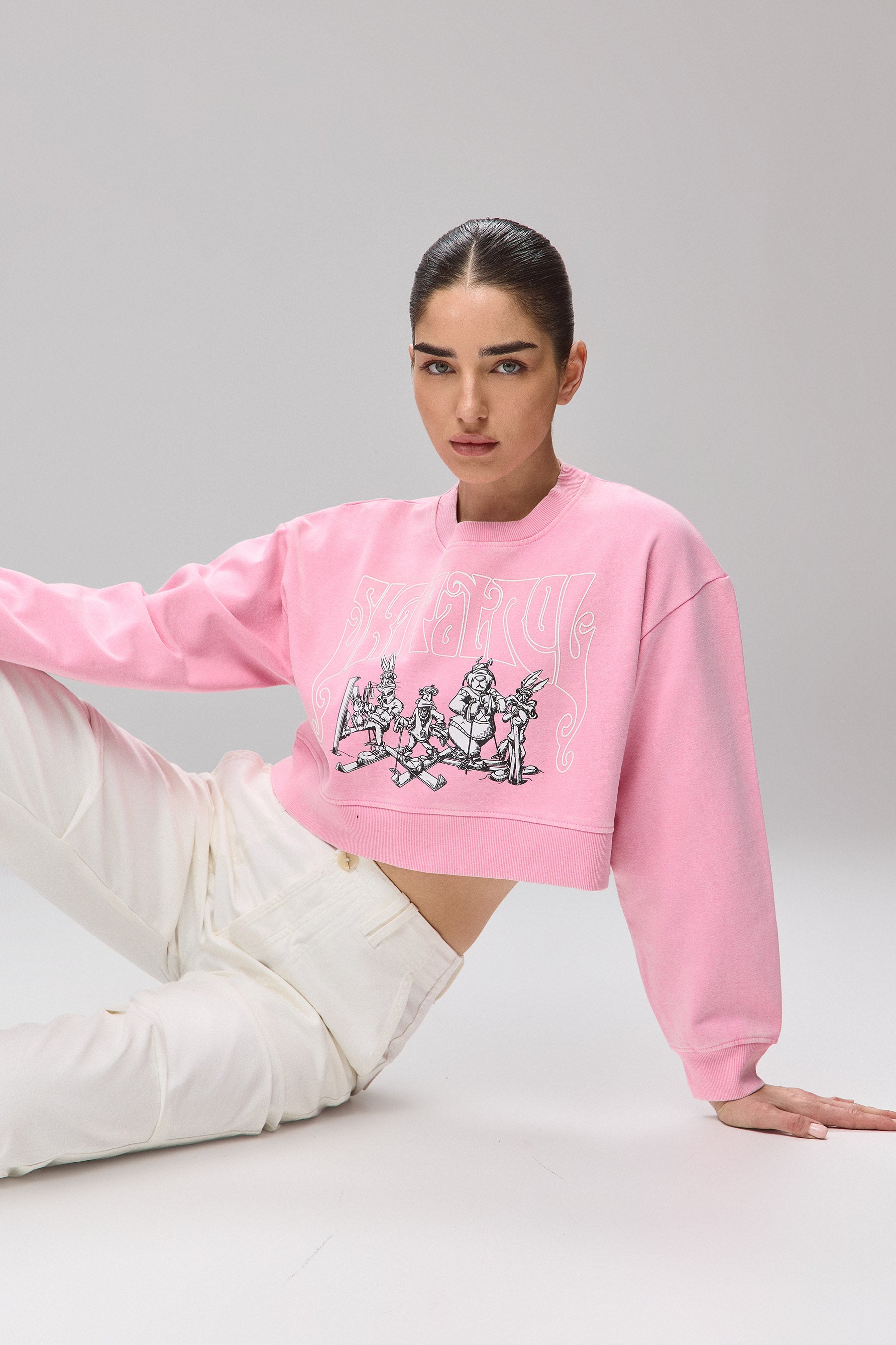 פוטר לוני טונס סקי