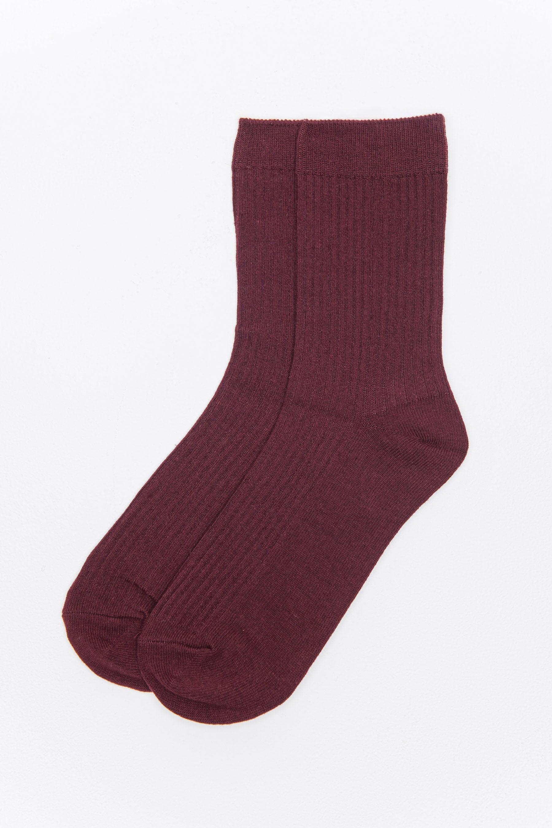 WINTER -זוג גרבי ריב